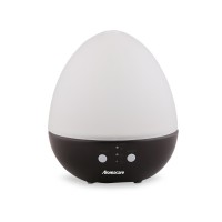 Aromacare Hot Product Mini Egg Wood 150ml Wooden Glass Aroma Diffuser 20071